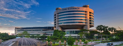 The Synergy (D22), Factory #565539701